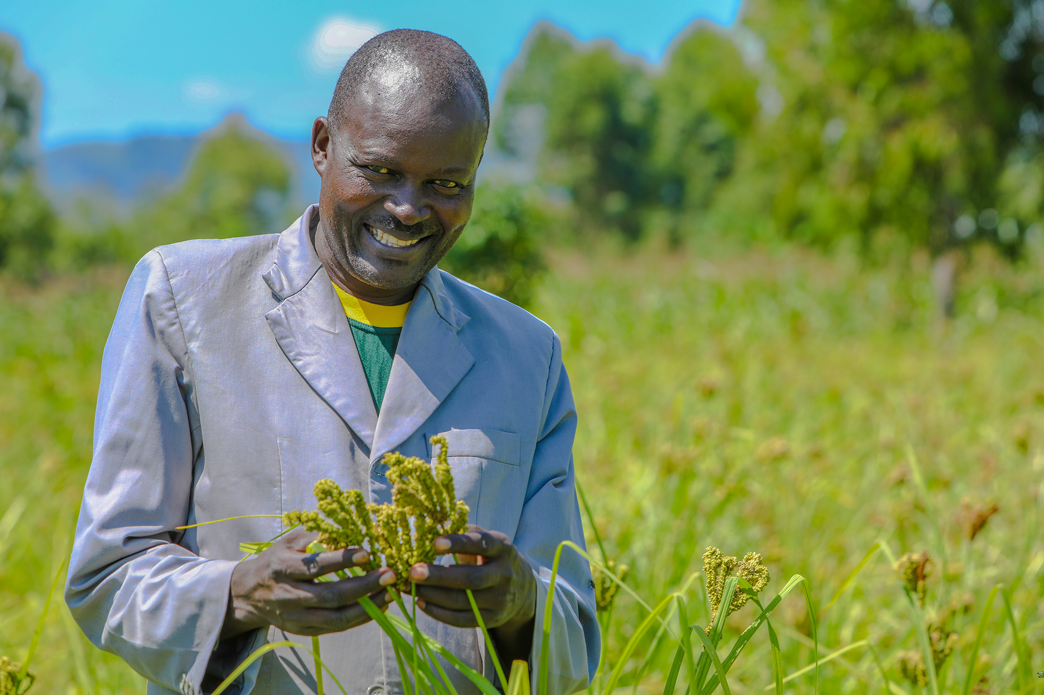 Finger Millet